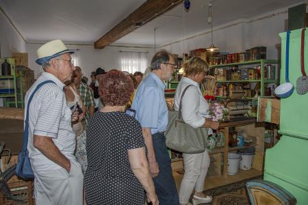 ODPRTJE GRADU DVOR (53)